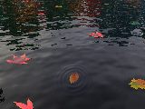 Free Graphic Wallpaper #489