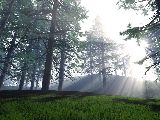 Free Graphic Wallpaper #490