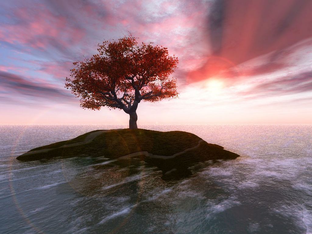 Your Free Wallpaper