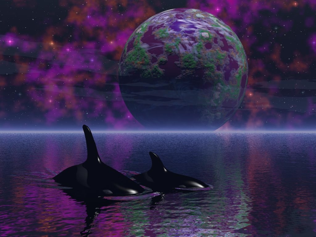 Your Free Wallpaper