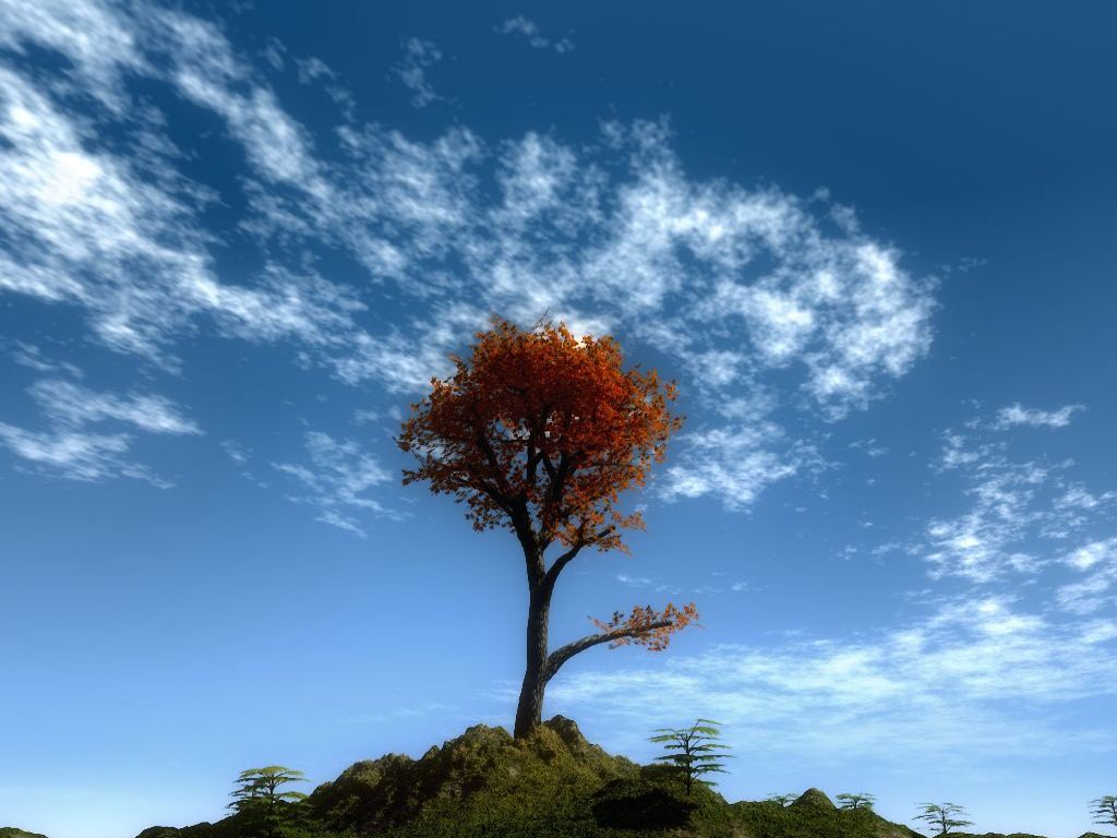 Your Free Wallpaper