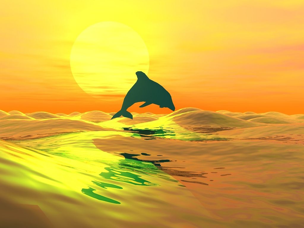Your Free Wallpaper