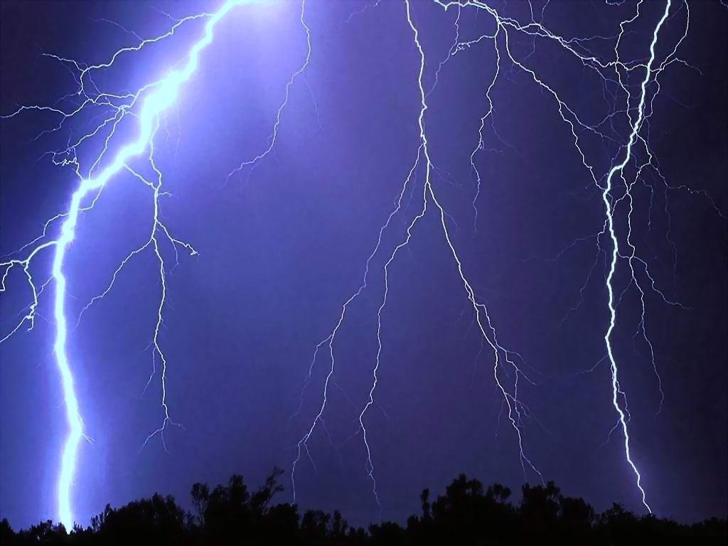 Your Free Wallpaper
