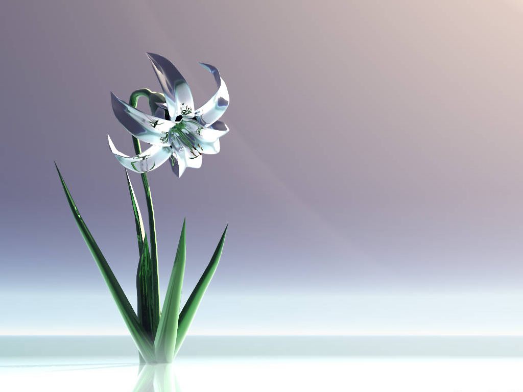 Your Free Wallpaper