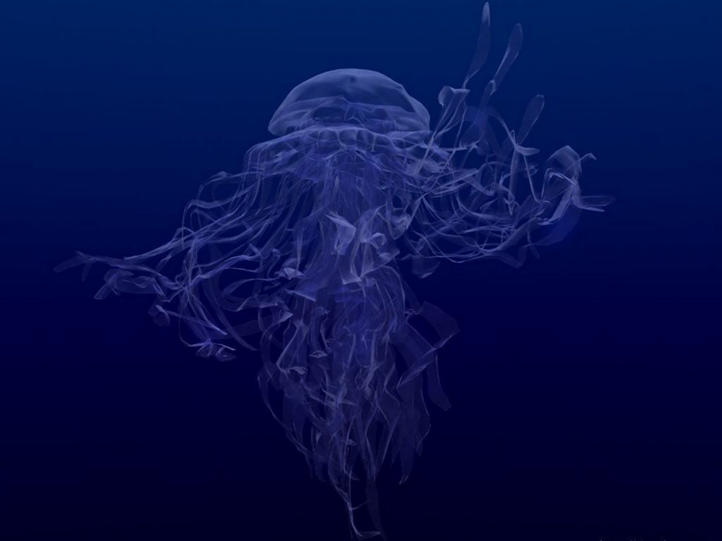Your Free Wallpaper