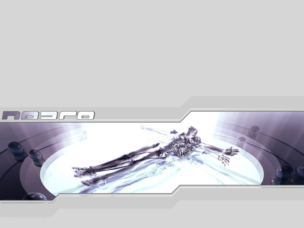 Your Free Wallpaper