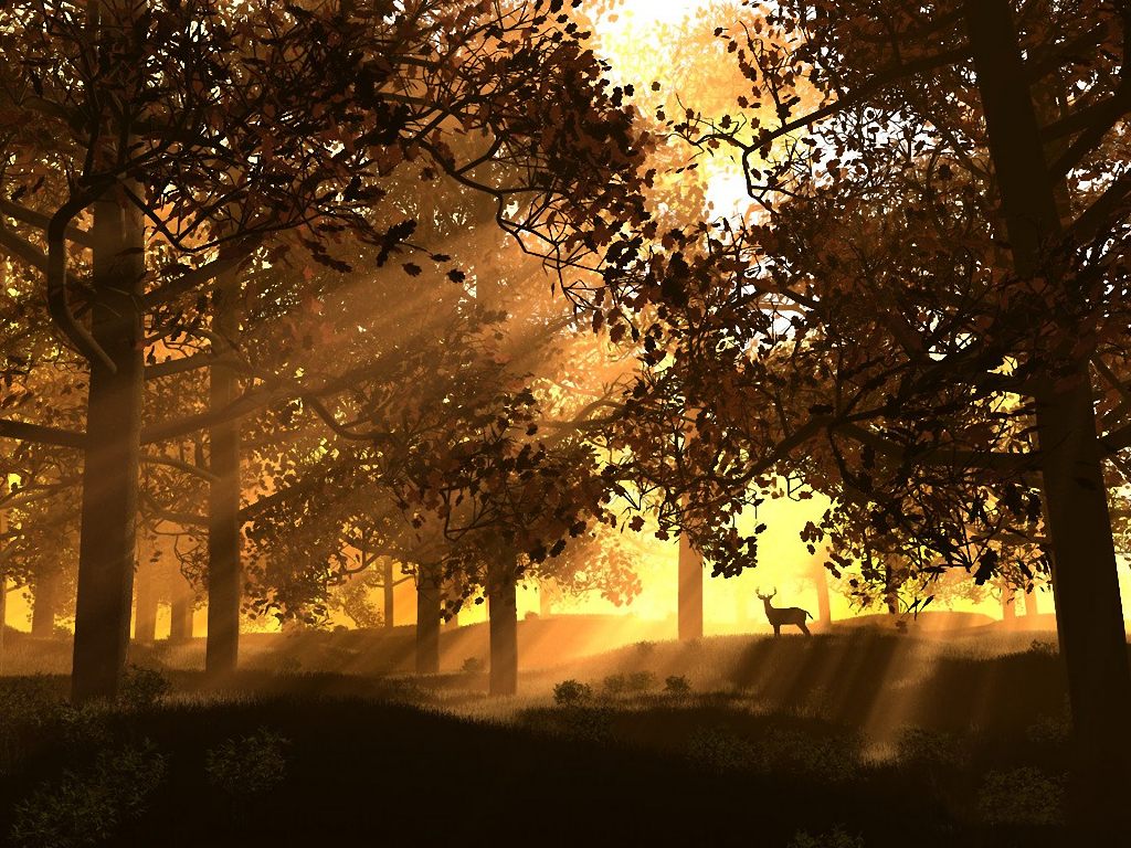 Your Free Wallpaper