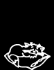 Cats Family Decal 918