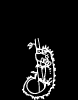 Pets Family Decal 501