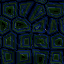 Free Animated Gif