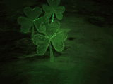 Free Animated Gif