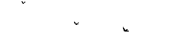 Free Animated Gif