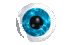 Free Animated Gif