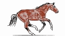 Free Animated Gif