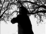 Free Animated Gif