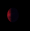 Free Animated Gif