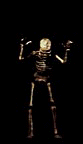 Free Animated Gif