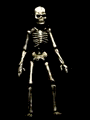 Free Animated Gif