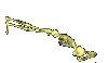 Free Animated Gif