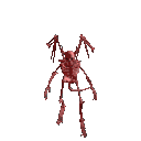 Free Animated Gif