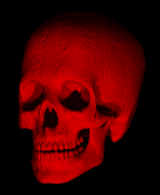 Free Animated Gif