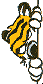 Free Animated Gif