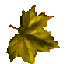 Free Animated Gif