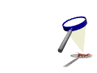 Free Animated Gif