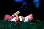 Free Animated Gif