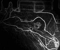 Free Animated Gif