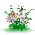 Free Animated Gif
