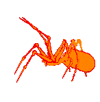 Free Animated Gif
