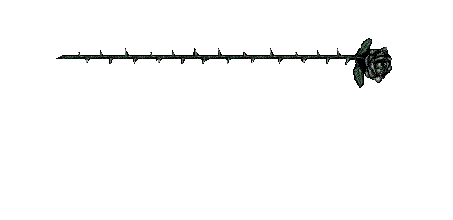 Free Animated Gif