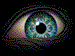 Free Animated Gif