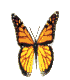 Free Animated Gif