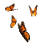 Free Animated Gif