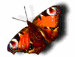 Free Animated Gif