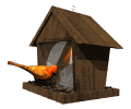 Free Animated Gif