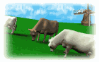 Free Animated Gif