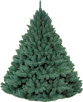 Free Animated Gif
