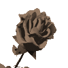 Free Animated Gif