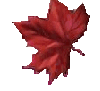 Free Animated Gif