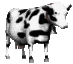 Free Animated Gif