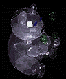 Free Animated Gif