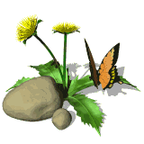 Free Animated Gif