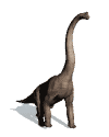 Free Animated Gif