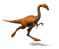 Free Animated Gif