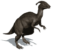 Free Animated Gif