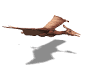 Free Animated Gif