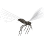 Free Animated Gif